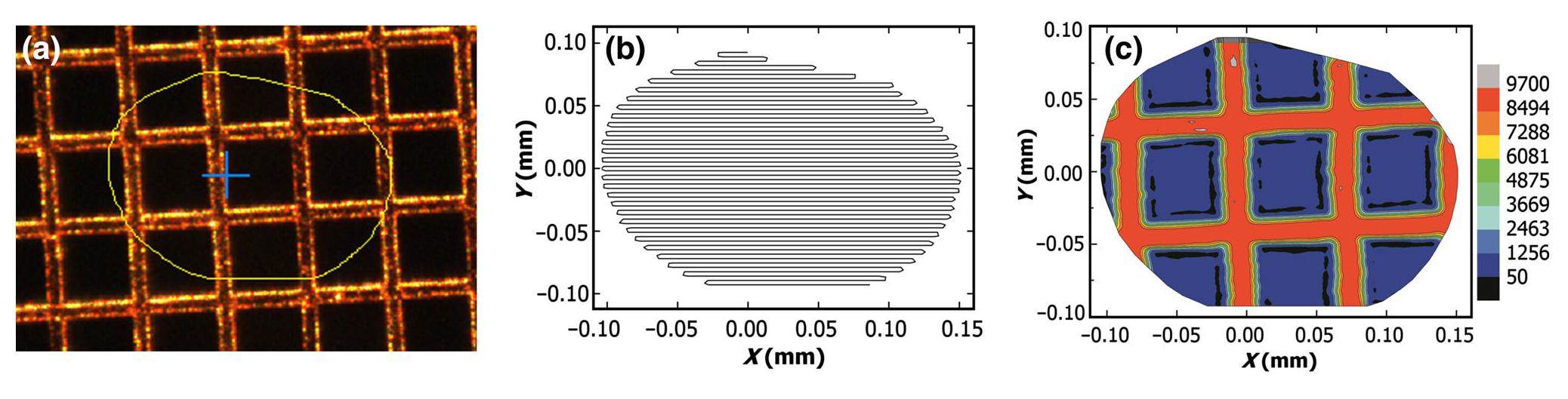 Scan system for arbitrary-shaped samples at the synchrotron radiation ...