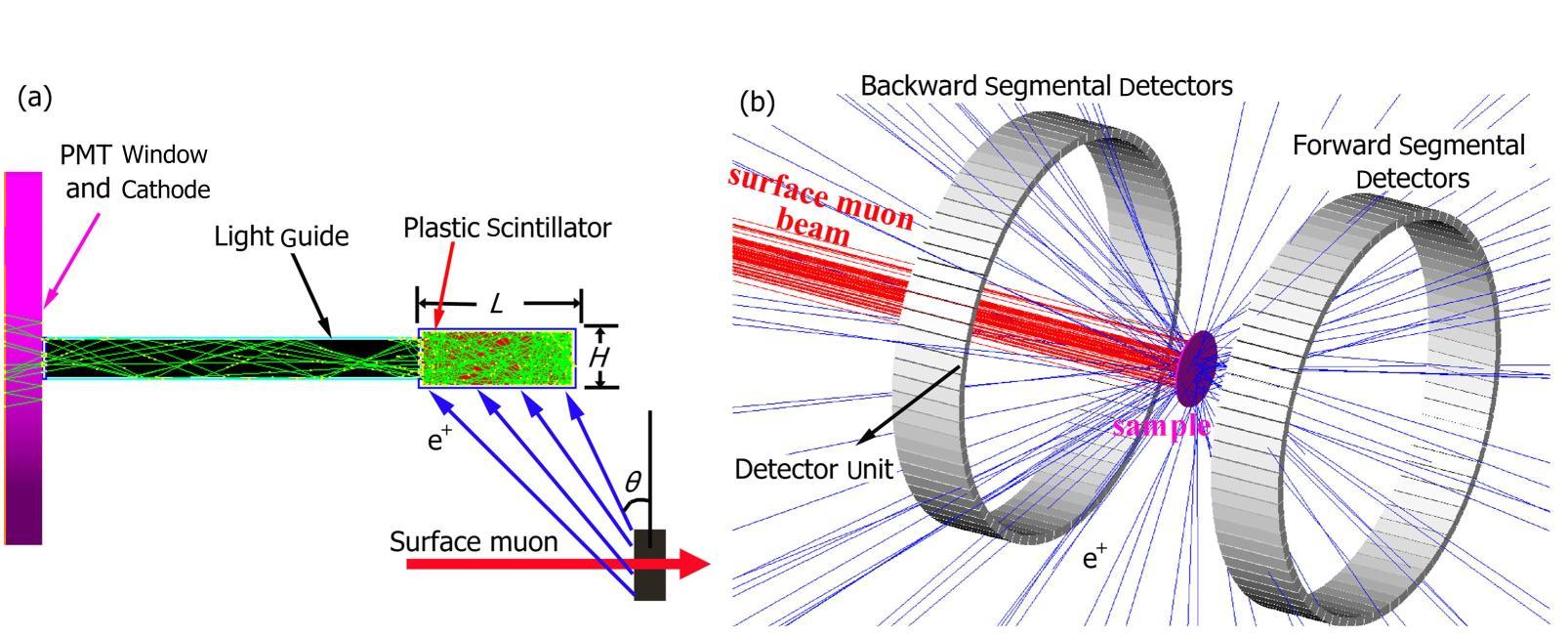 Geant4 simulation of plastic scintillators for a prototype μSR spectrometer