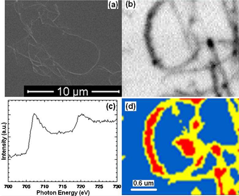 Latest advances in soft X-ray spectromicroscopy at SSRF