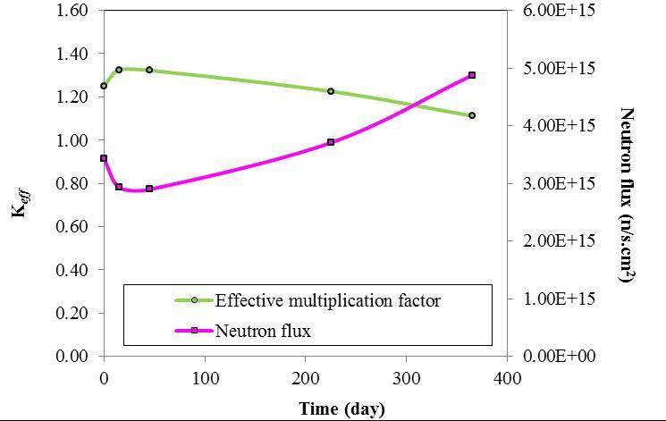 Computational analysis of neutronic effects of ThO2 rods loaded in ...