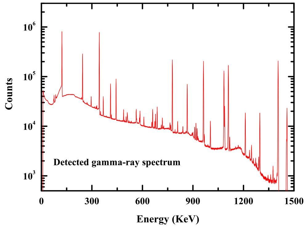Red Gamma Rays Identification of the unknown shielding parameters with gamma-ray ...