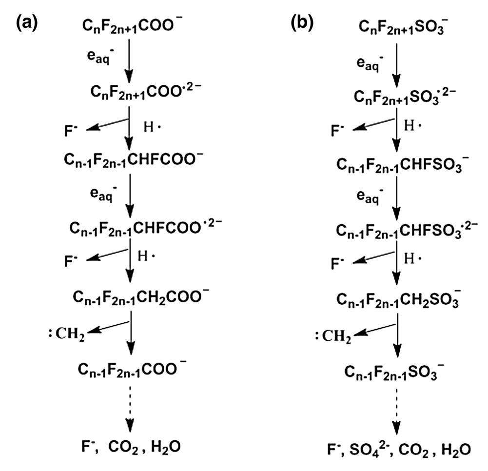 EB degradation of perfluorooctanoic acid and perfluorooctane sulfonate ...