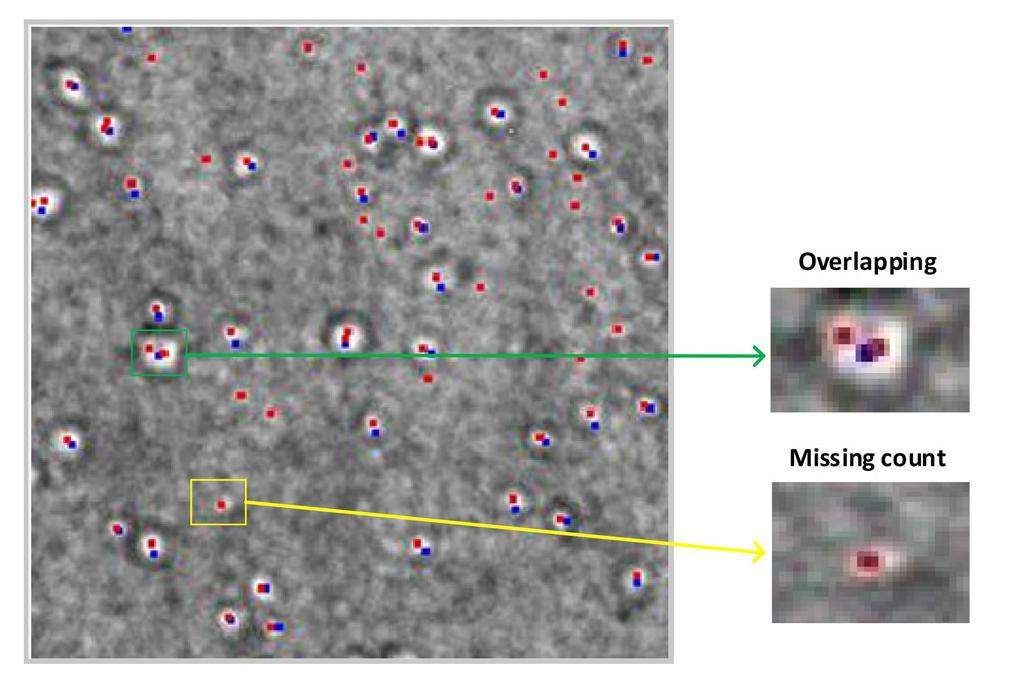 Nuclear Science and Techniques