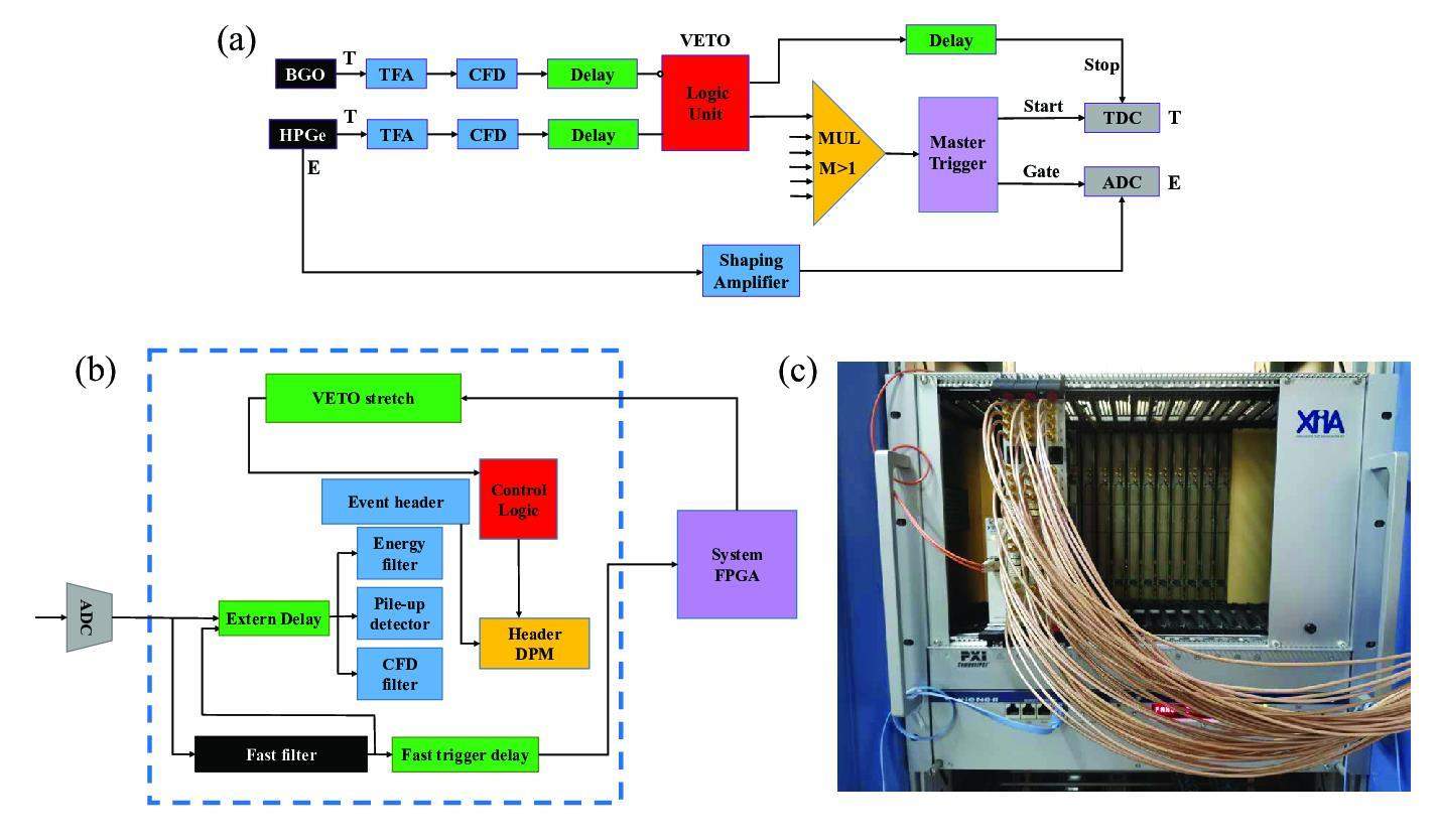 Performance of digital data acquisition system in gamma-ray spectroscopy