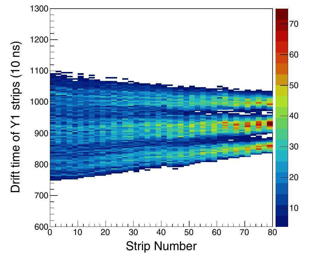 Cat 2 Strip Algorithm Performance of the CAT-TPC based on two-dimensional readout strips