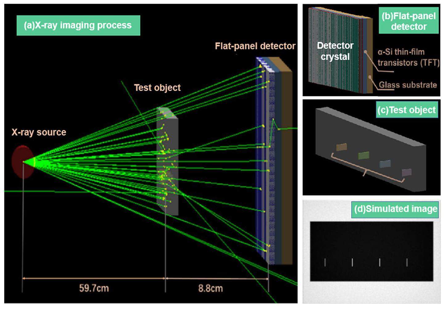 A characterization study on perovskite X-ray detector performance based ...