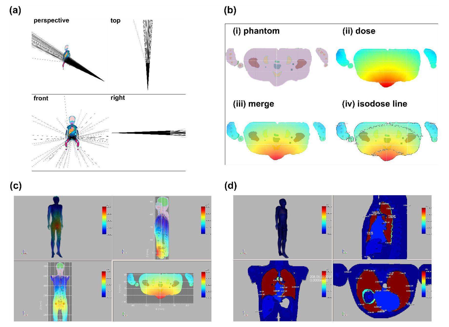 THUDosePD: a three-dimensional Monte Carlo platform for phantom dose ...