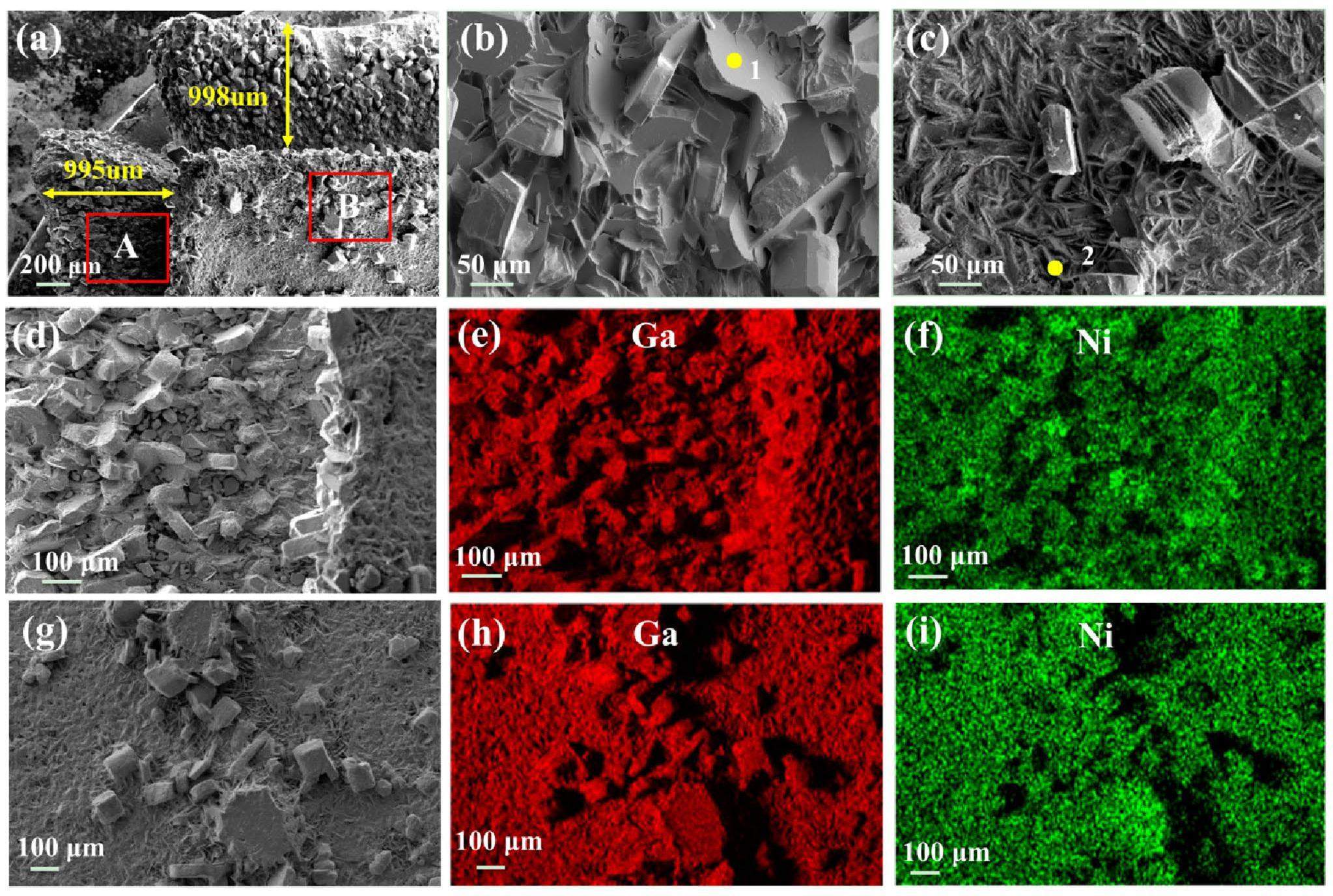 Corrosion behavior of pure metals (Ni and Ti) and alloys (316H SS and ...
