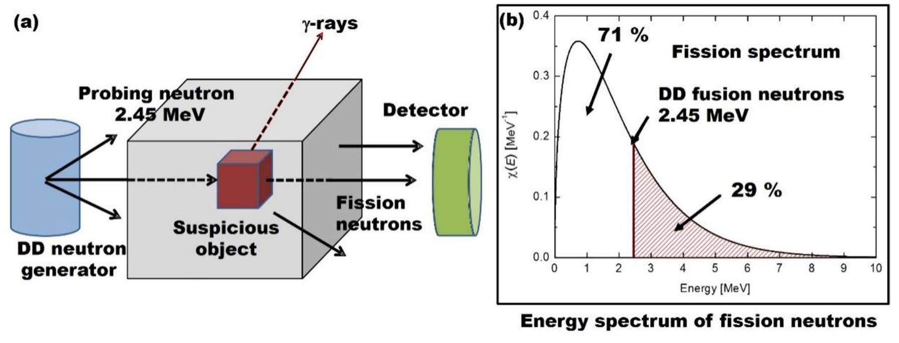 Nondestructive and active interrogation system for special nuclear ...