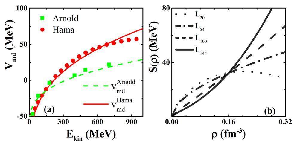 A perspective on describing nucleonic flow and pionic observables ...