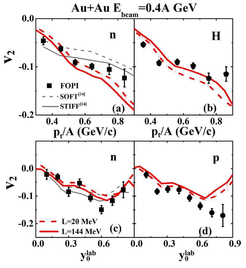 A perspective on describing nucleonic flow and pionic observables ...