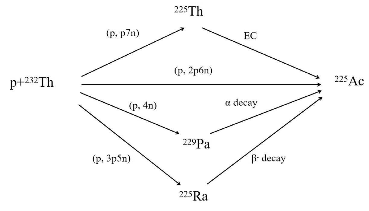 Measurement of 232Th(p, x)225Ac reaction cross-section at CSNS APEP ...