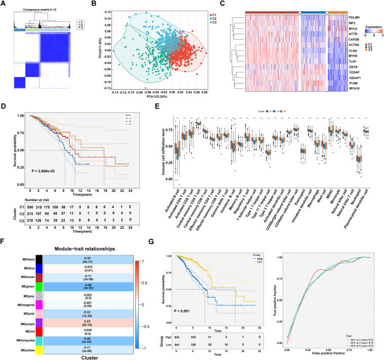 Disulfidptosis heterogeneity in breast cancer uncovers PTTG1IP as an ...