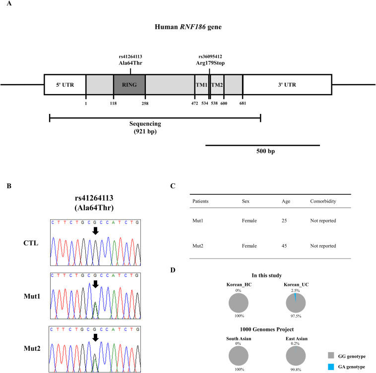 Identification of a disease-associated germline mutation (A64T) of the ...